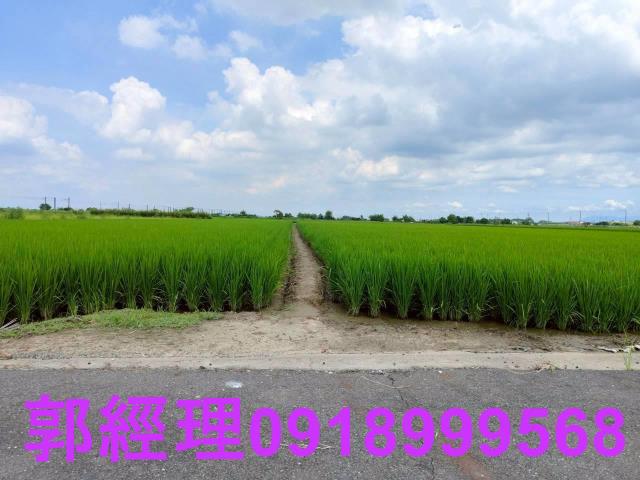 台南農地-10