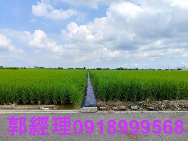 台南農地-13