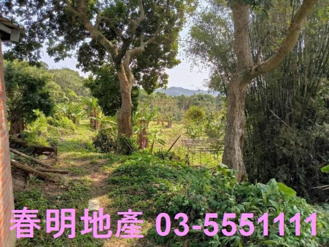 新竹竹東農地-1