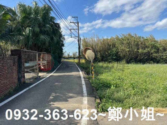 桃園大園農地-3