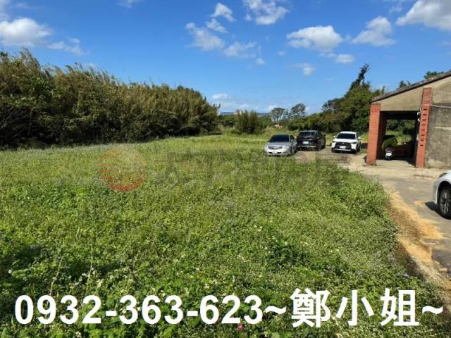 桃園大園農地-4