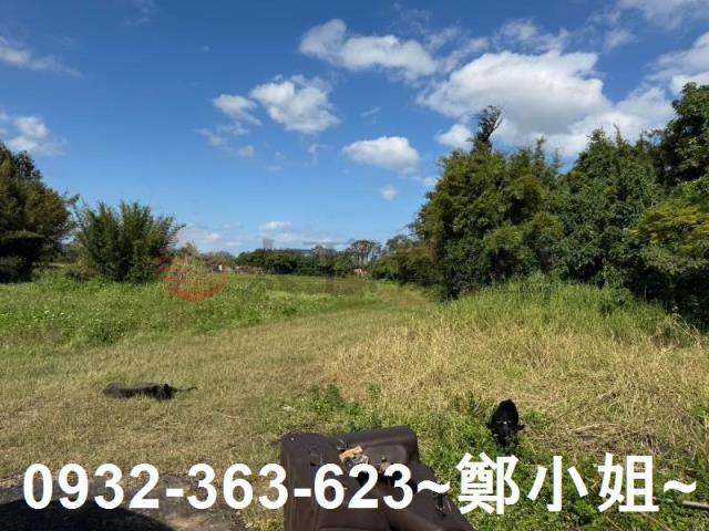 桃園大園農地-8