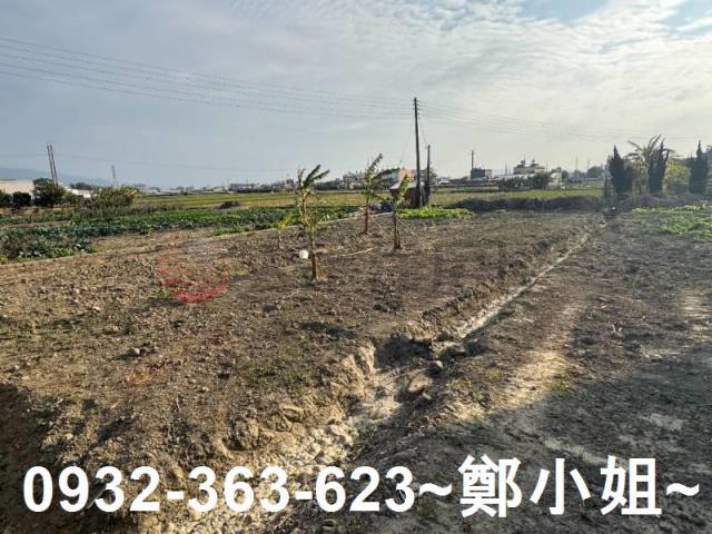 苗栗苑裡農地-11