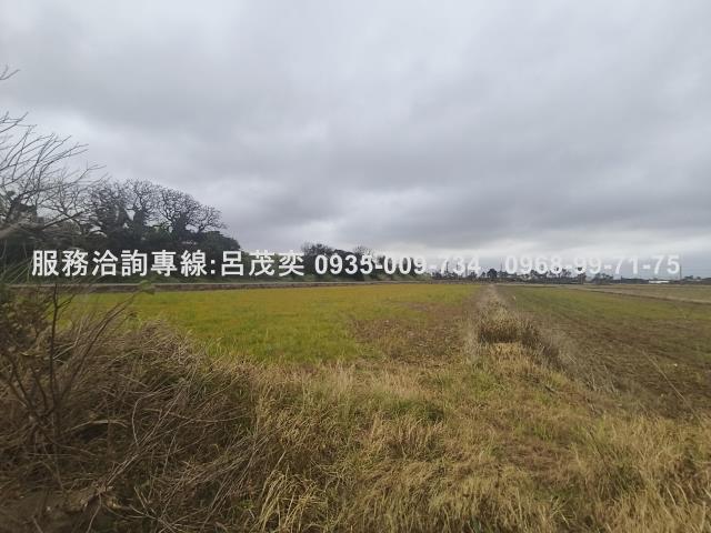 觀音農地-4