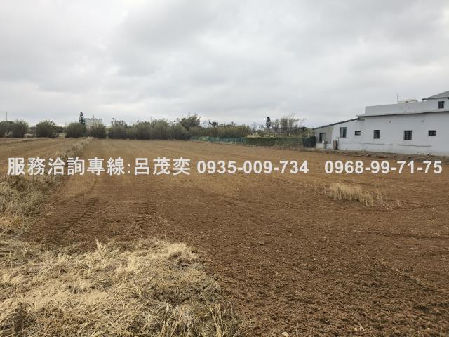新屋農地-4