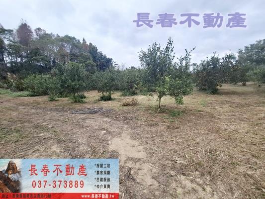 苗栗頭屋農地-4