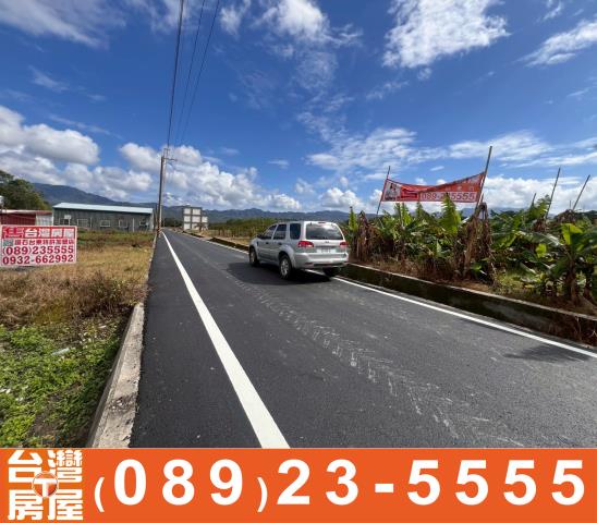 台東鹿野農地-3