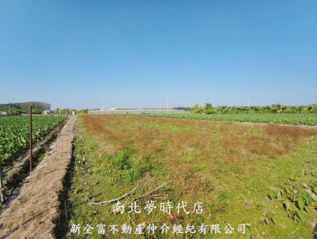 屏東高樹農地-3