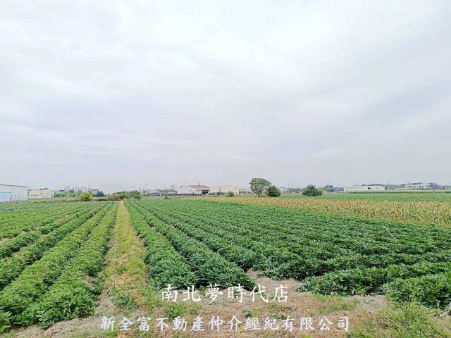 台南農地-3