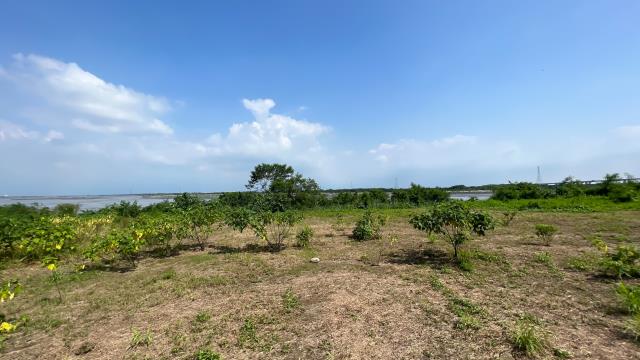 高雄旗山農地-5