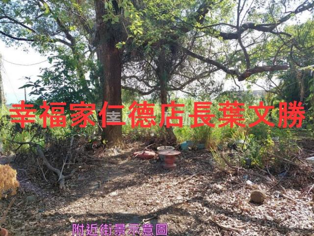 台南玉井農地-9