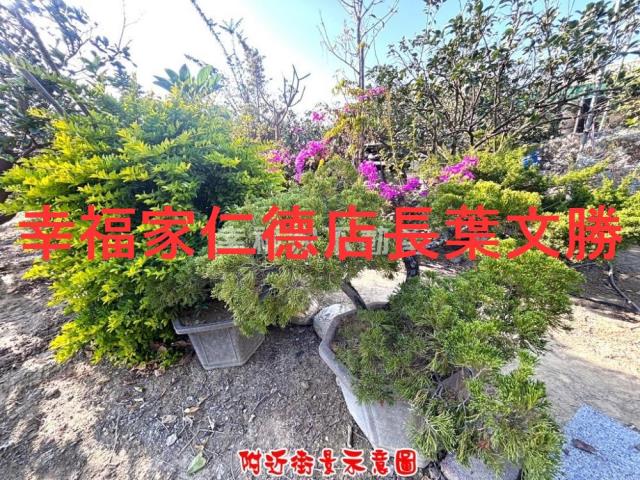 台南麻豆農地-7