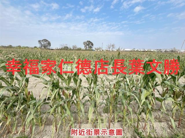 台南七股農地-10