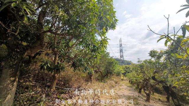 台南玉井農地-3