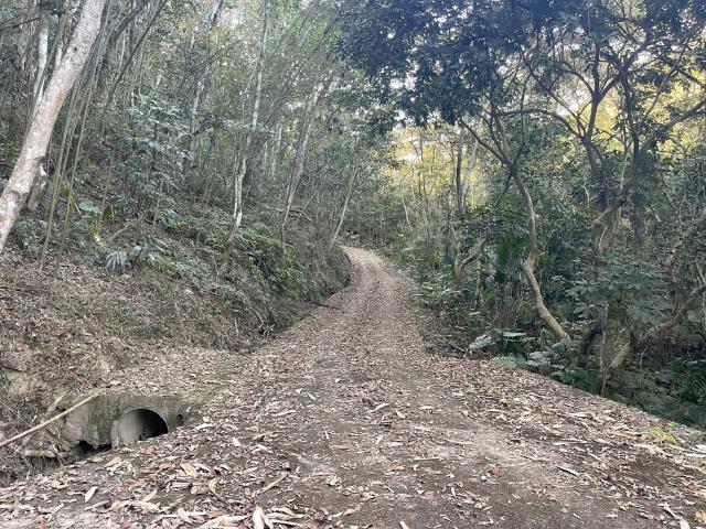 中寮林地-2