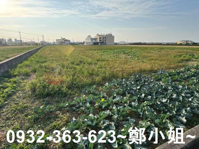 苑裡農地-11