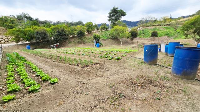 新竹北埔農地-14