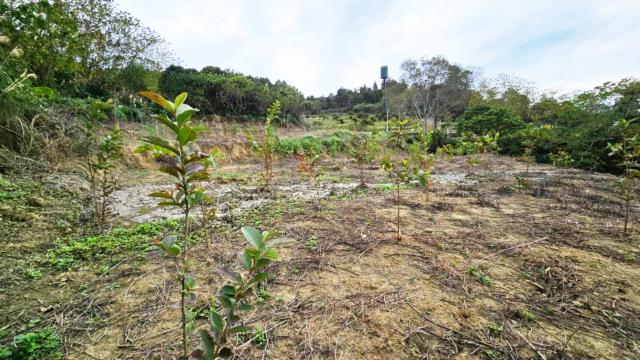 新竹北埔農地-12