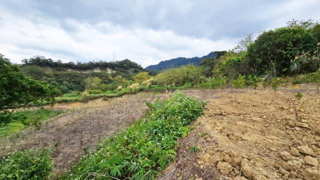 新竹北埔農地-4