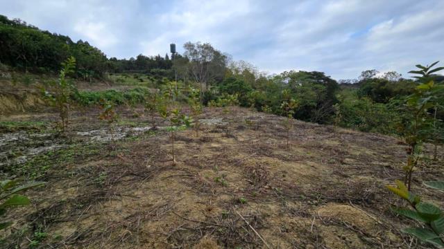 新竹北埔農地-7