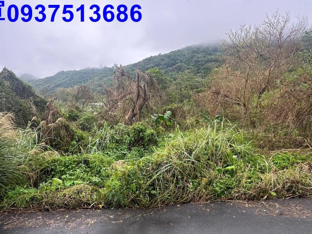 蘇澳倉儲用地-3