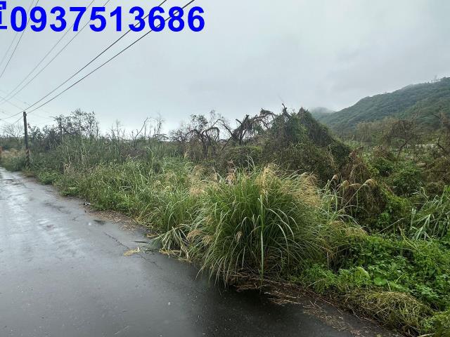 蘇澳倉儲用地-7