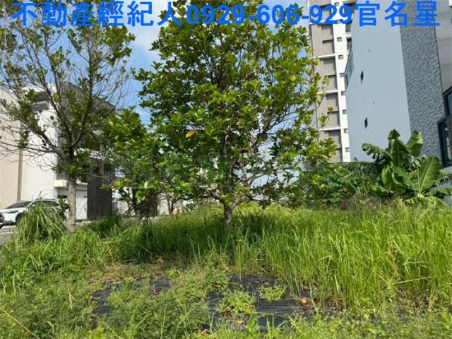 嘉義建地-3