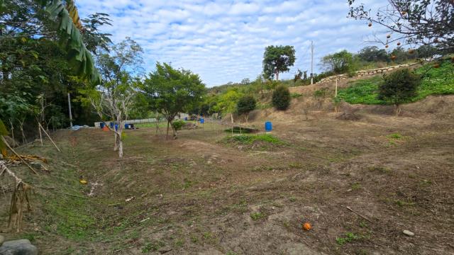 新竹北埔農地-11