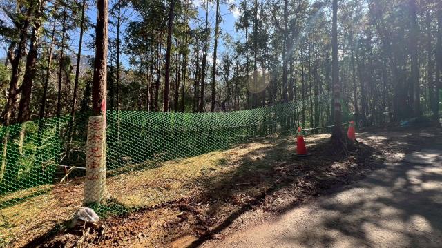 新竹竹東農地-11