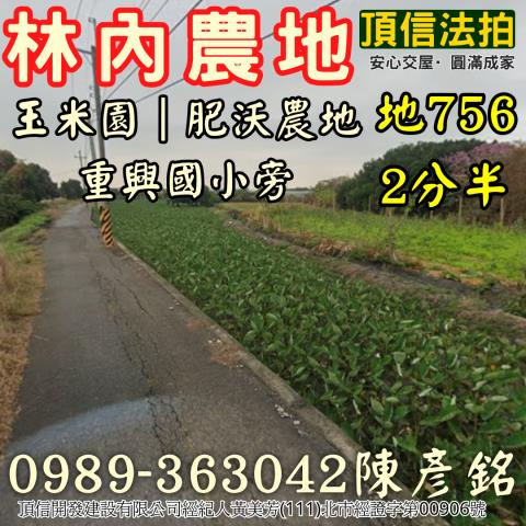 雲林林內法拍農地-1