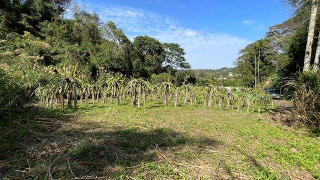 新竹峨眉農地-7