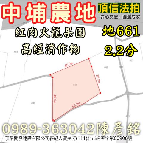 中埔法拍農地-3