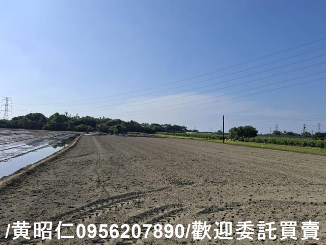 台南農地-7