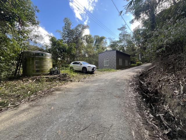 南投鹿谷山坡地-1