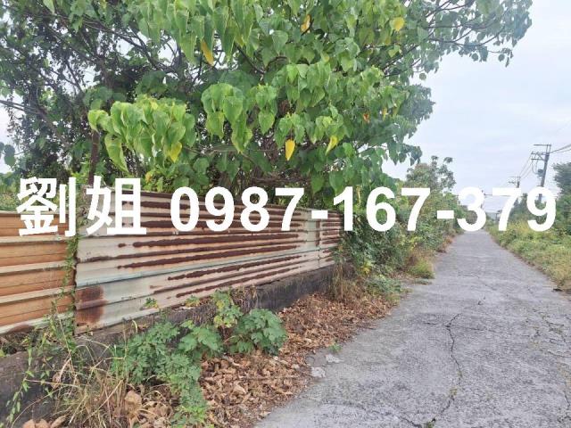 高雄永安農地-2