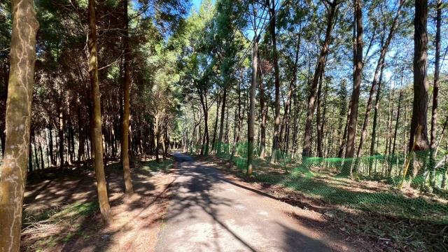 新竹竹東農地-9