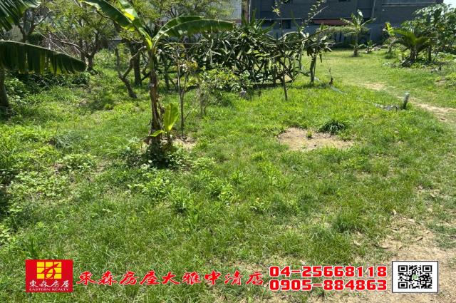 台中大雅農地-3