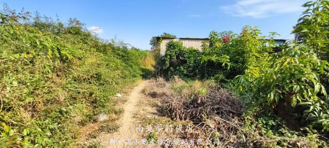 台南農地-9