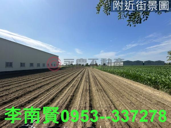 台南安定農地-3