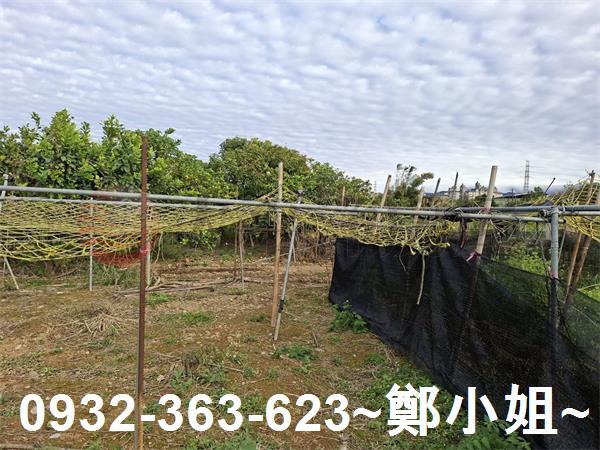 桃園大溪農地-12