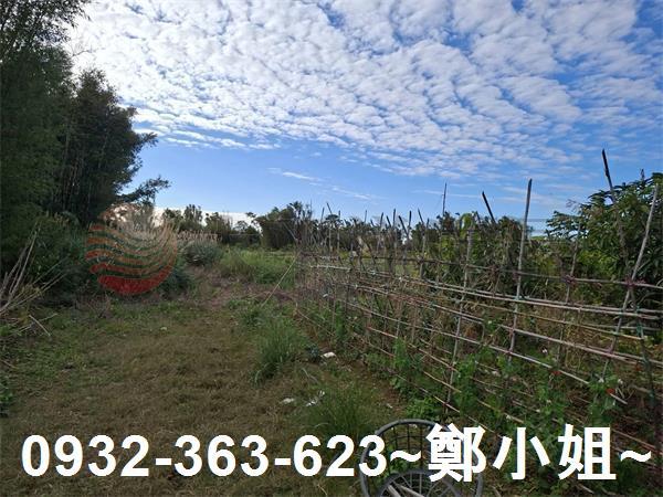 桃園大溪農地-3