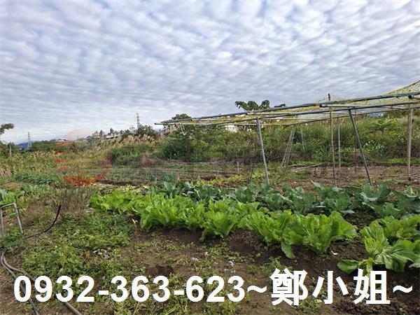 桃園大溪農地-6