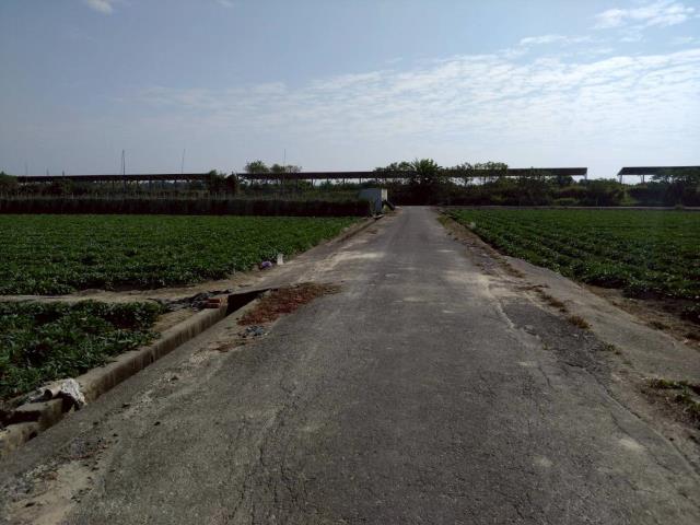 台南新化農地-3