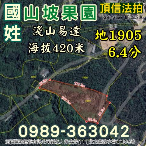 南投國姓法拍農地-3