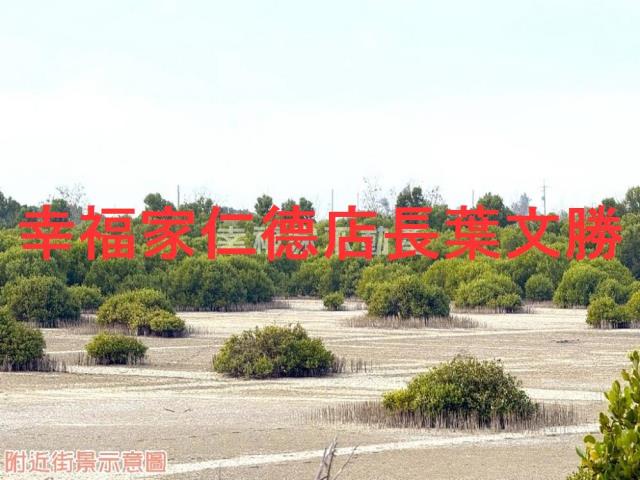 台南安南農地-1