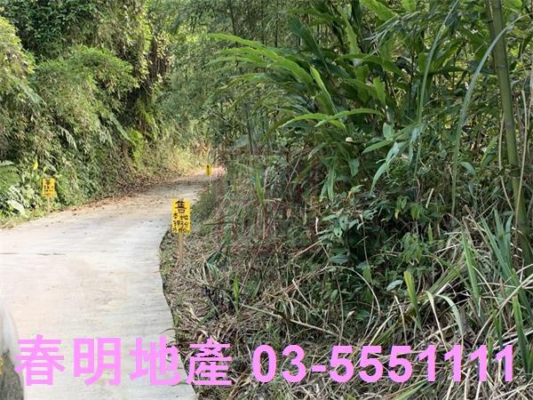 新竹尖石林地-1