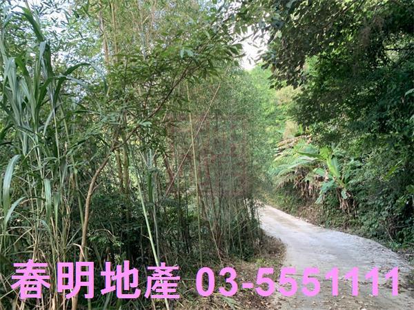 新竹尖石林地-3