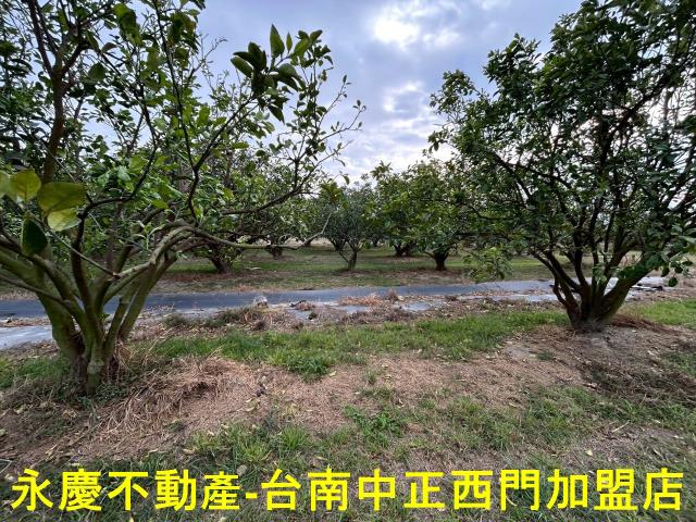 台南麻豆農地-10