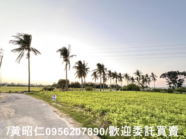 台南仁德農地-2