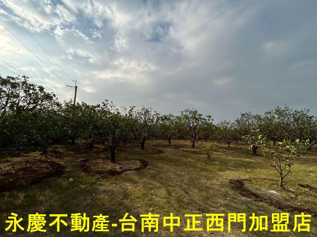 台南麻豆農地-2